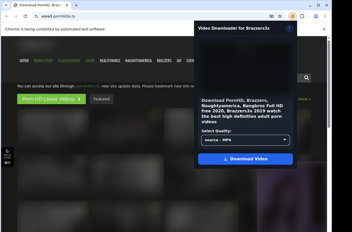 Brazzers3x Video Downloader browser extension screenshot 3